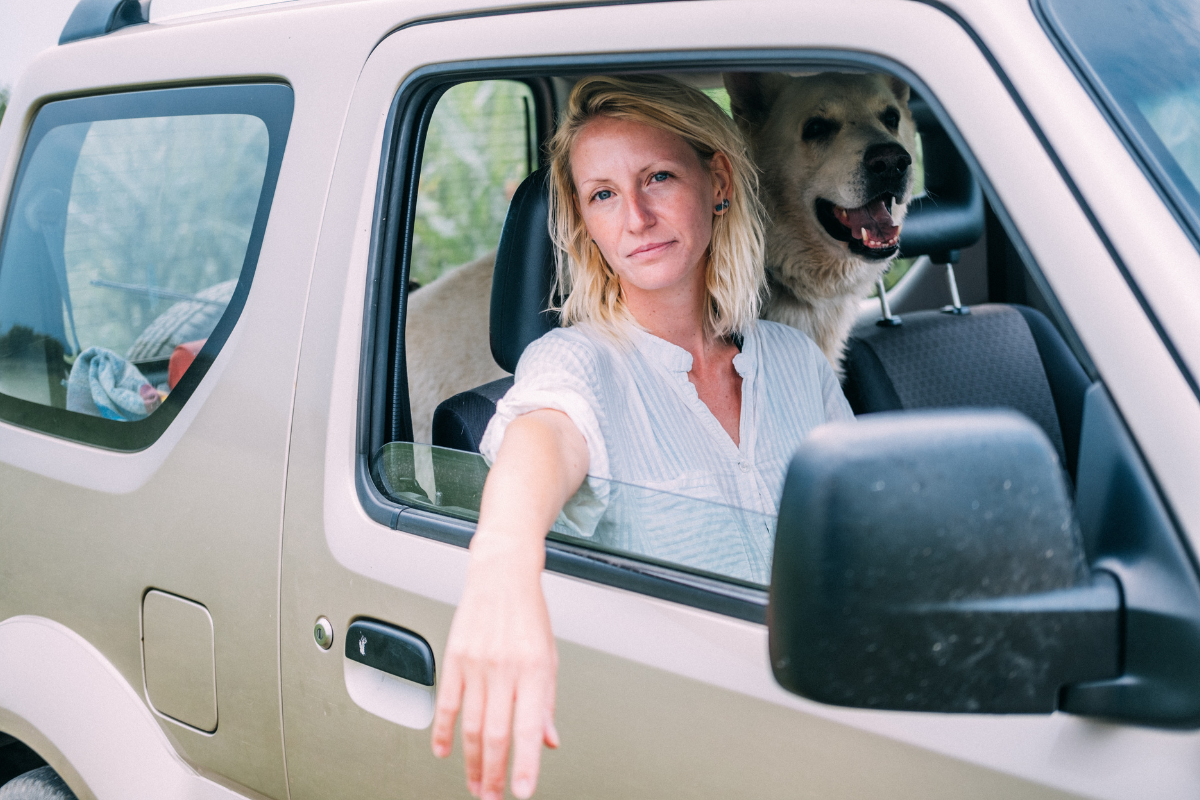 Como Transportar Seu Pet Com Segurança No Carro? - Kamasa